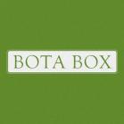 Bota Box - Breeze Pinot Grigio (3000)