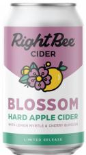 Right Bee - Blossom Hard Cider (667)