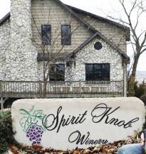 Spirit Knob Winery - Chardonel Dry White (750ml) (750ml)