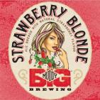 Big Muddy - Strawberry Blonde 4pk Can (415)