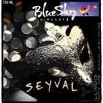 Blue Sky Vineyard - Seyval 0 (750)