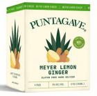 Puntagave - Meyer Lemon Ginger Hard Seltzer (414)