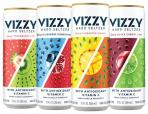 Vizzy - Hard Seltzer Variety Pack (221)